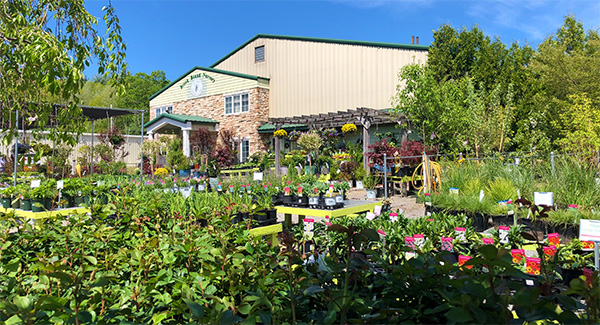 Brook Bound Nursery, Westminster, MA